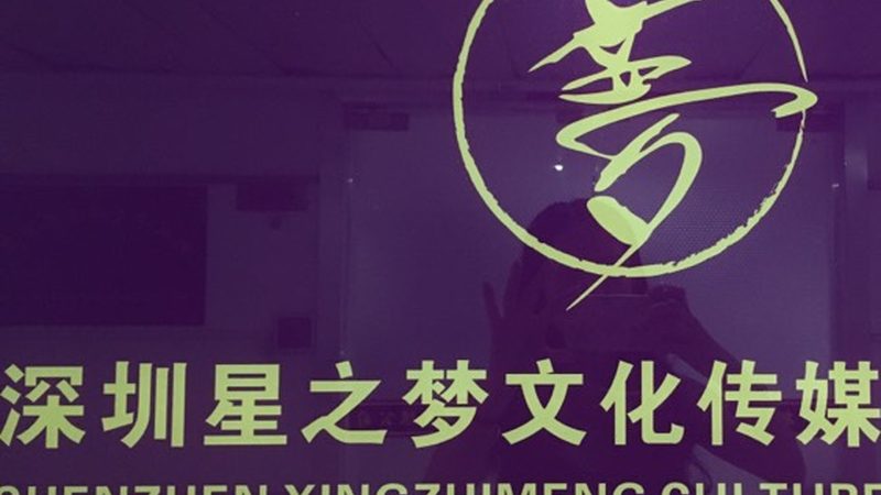 自然类纪录片拍摄技巧书籍：探寻自然之美背后的匠心独运